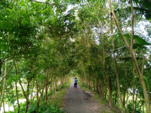 মোসলেমাবাদ মেট্রো সড়ক